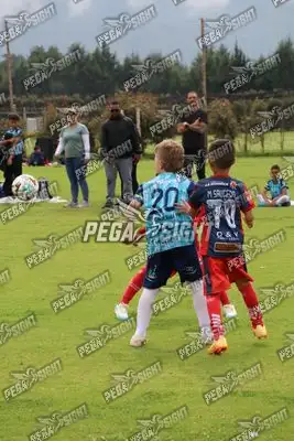 Foto de Búho Academia