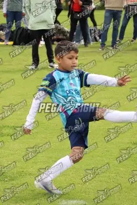 Foto de Búho Academia