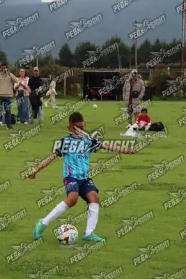 Foto de Búho Academia