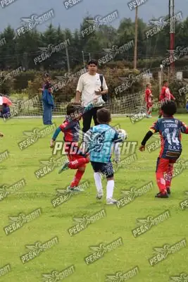 Foto de Búho Academia