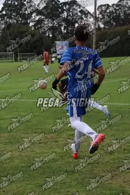 Foto de Dinastia