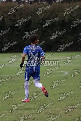 Foto de Dinastia
