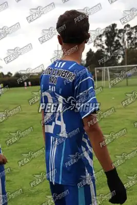 Foto de Dinastia