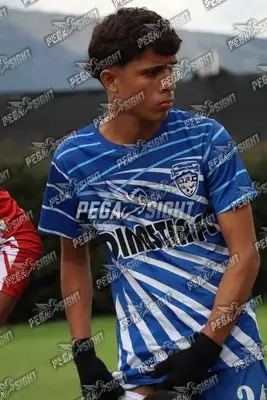 Foto de Dinastia