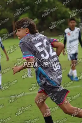 Foto de Búho Academia