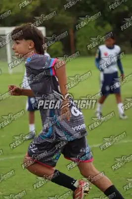 Foto de Búho Academia