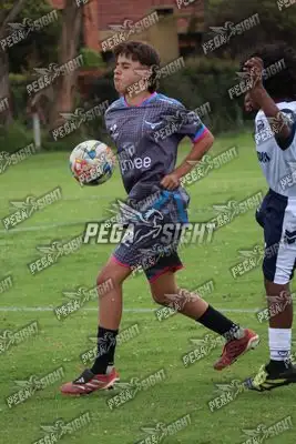 Foto de Búho Academia