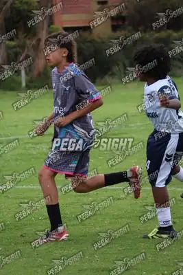 Foto de Búho Academia