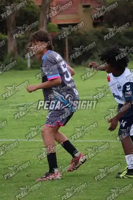 Foto de Búho Academia