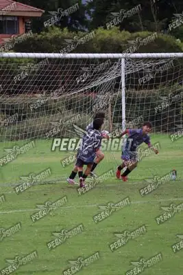 Foto de Búho Academia