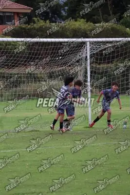 Foto de Búho Academia