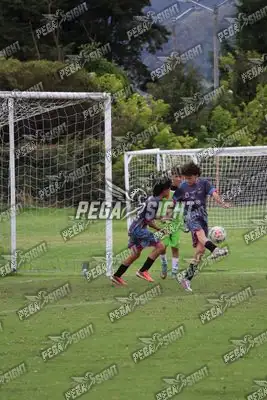 Foto de Búho Academia
