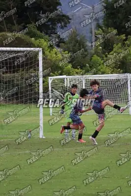 Foto de Búho Academia