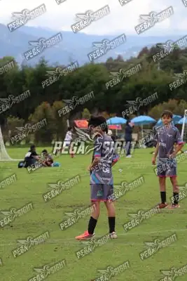 Foto de Búho Academia