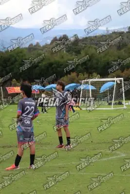 Foto de Búho Academia