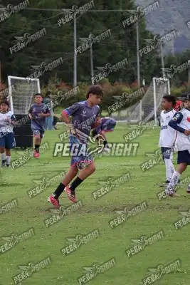Foto de Búho Academia