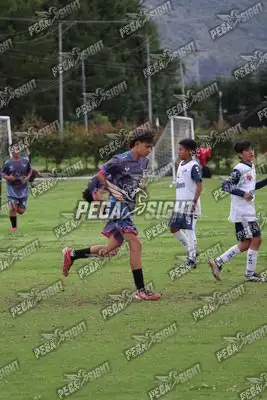 Foto de Búho Academia
