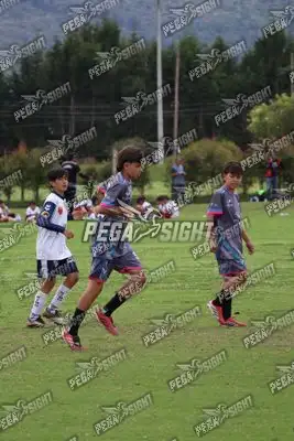 Foto de Búho Academia