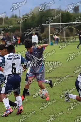 Foto de Búho Academia