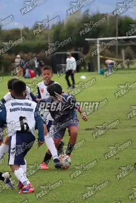 Foto de Búho Academia