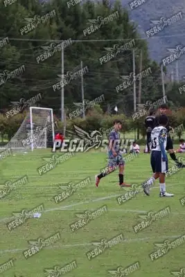 Foto de Búho Academia