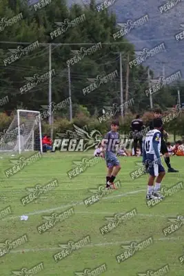Foto de Búho Academia