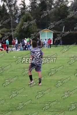 Foto de Búho Academia