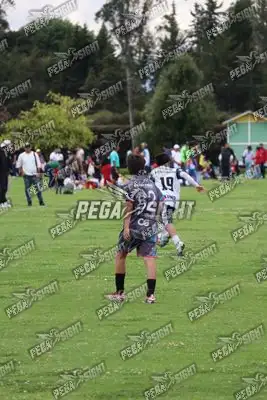 Foto de Búho Academia