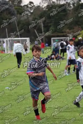 Foto de Búho Academia