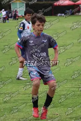 Foto de Búho Academia