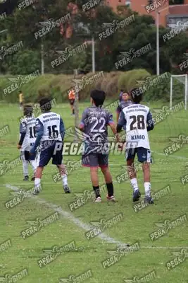Foto de Búho Academia