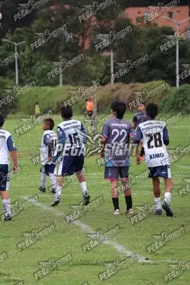 Foto de Búho Academia