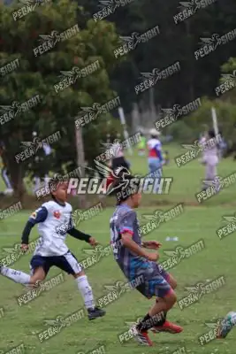 Foto de Búho Academia