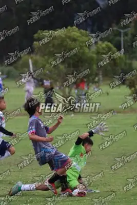 Foto de Búho Academia