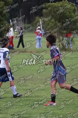 Foto de Búho Academia