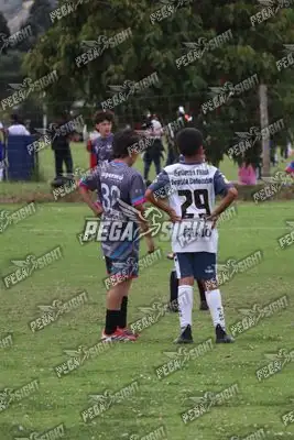 Foto de Búho Academia