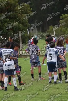 Foto de Búho Academia