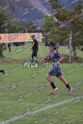 Foto de Búho Academia