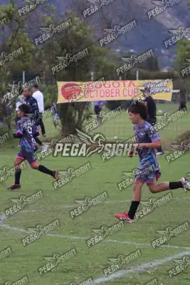 Foto de Búho Academia
