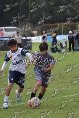 Foto de Búho Academia