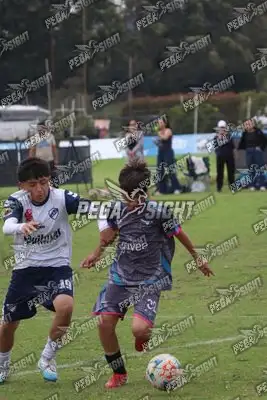 Foto de Búho Academia