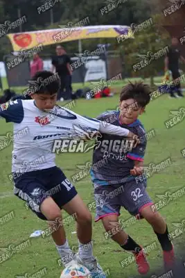 Foto de Búho Academia