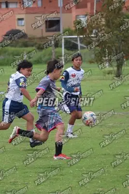 Foto de Búho Academia