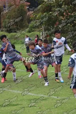 Foto de Búho Academia