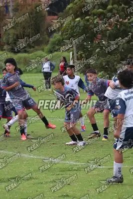 Foto de Búho Academia