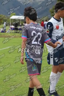 Foto de Búho Academia