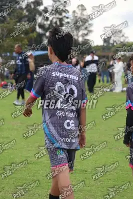 Foto de Búho Academia