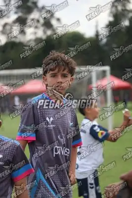 Foto de Búho Academia