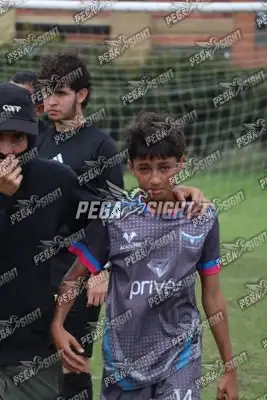 Foto de Búho Academia