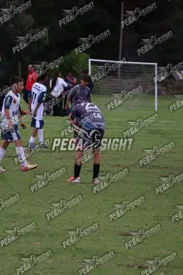 Foto de Búho Academia